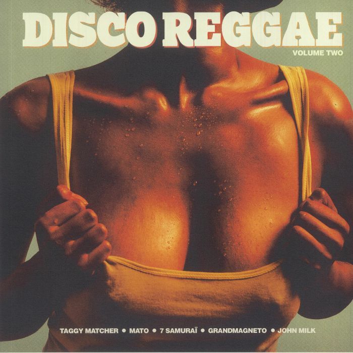 Disco Reggae Vol 2 - Various