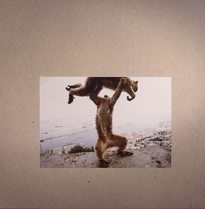 Dude Incredible - Shellac