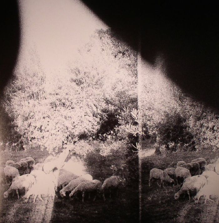 Asunder Sweet & Other Distress (Poster Hediyeli) - Godspeed You Black Emperor