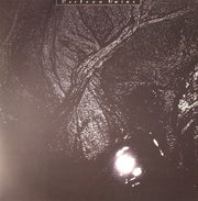 The Pink Opaque (Remastered) - Cocteau Twins