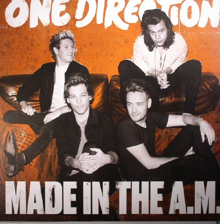 Made in the Am - One Direction