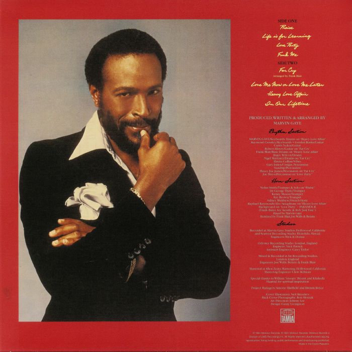 In Our Lifetime - Marvin Gaye