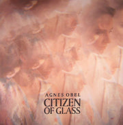 Citizen of Glass - Agnes Obel
