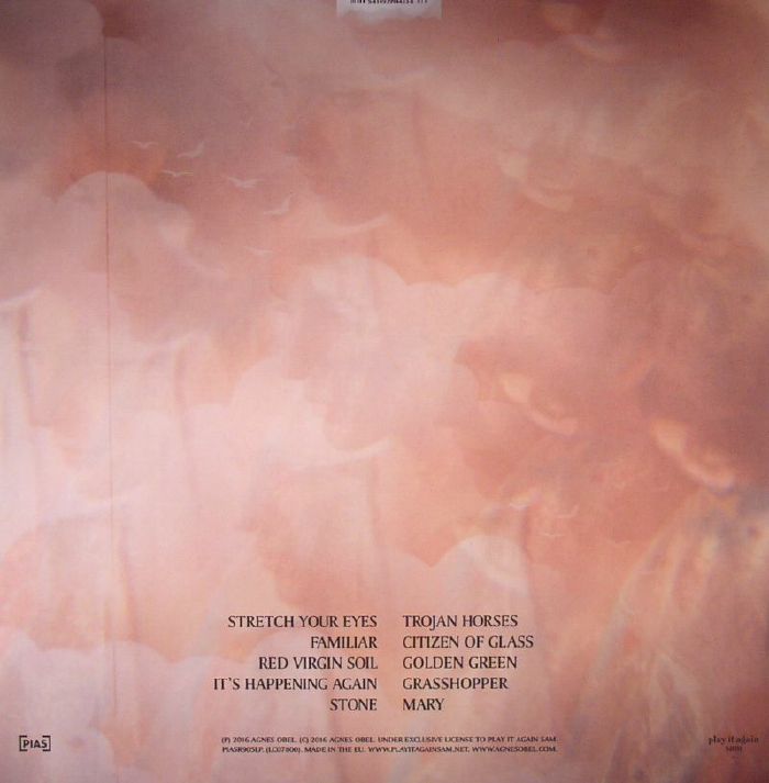 Citizen of Glass - Agnes Obel