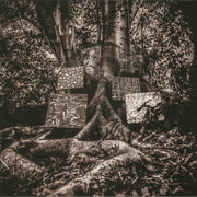 Harmony of Difference - Kamasi Washington