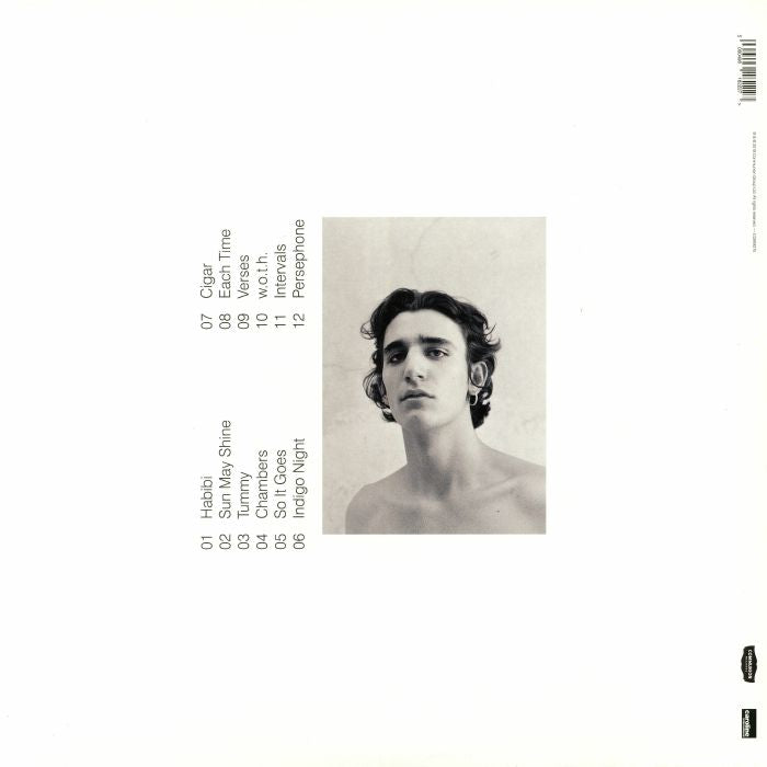 Amir - Tamino