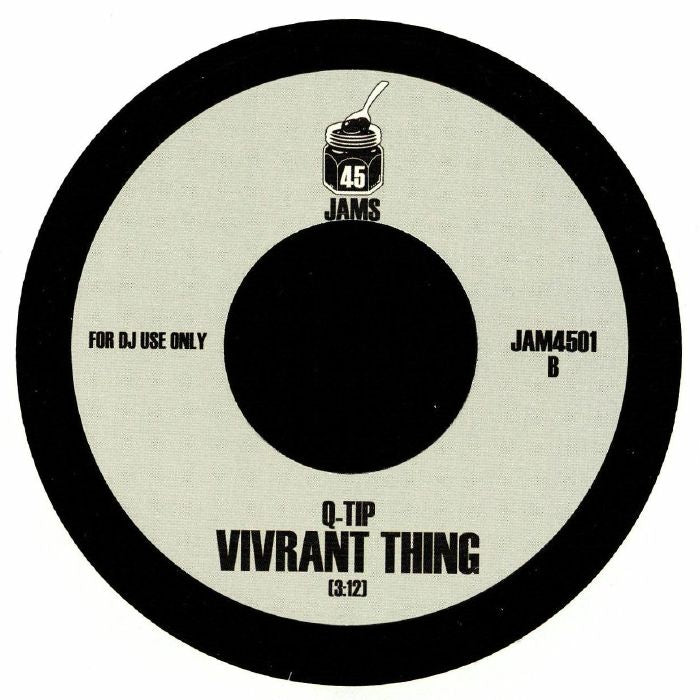 Get Involved - Raphael Saadiq / Q Tip