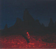 Punisher - Phoebe Bridgers (CD)