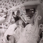 Vespertine - Björk