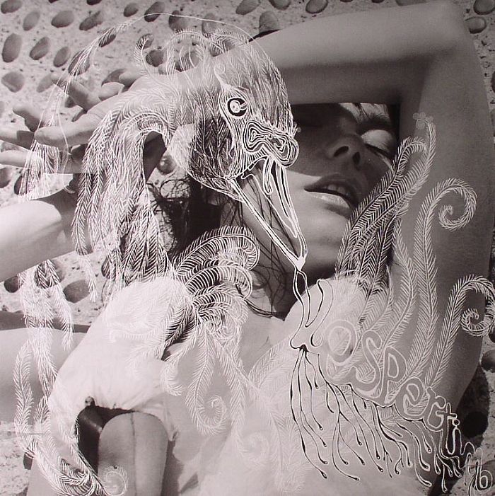Vespertine - Björk