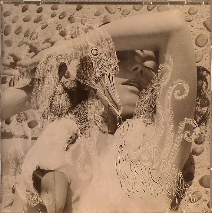 Vespertine - Björk (CD)