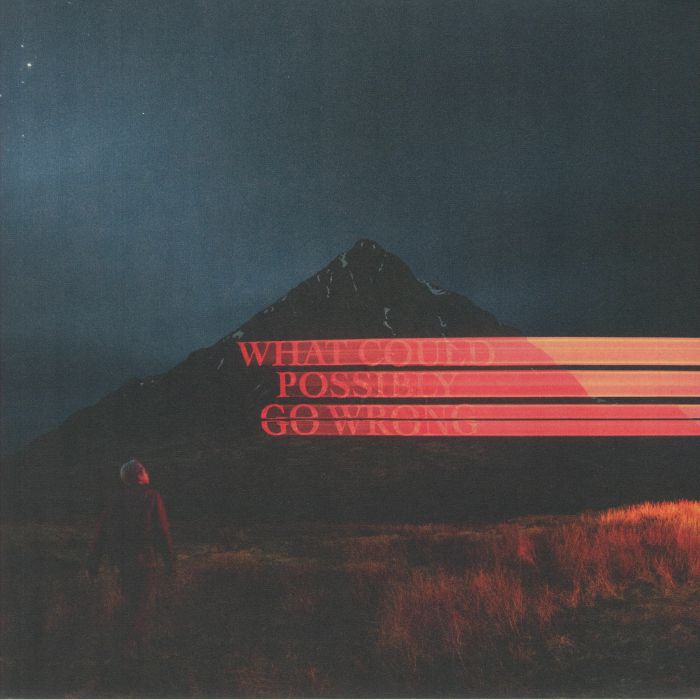 What Could Possibly Go Wrong - Dominic Fike