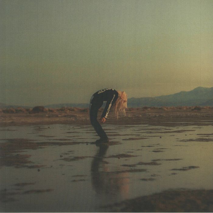Copycat Killer - Phoebe Bridgers / Rob Moose