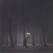 Projector - Geese