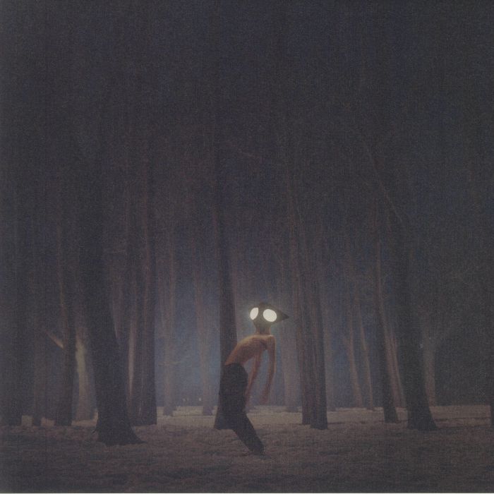 Projector - Geese