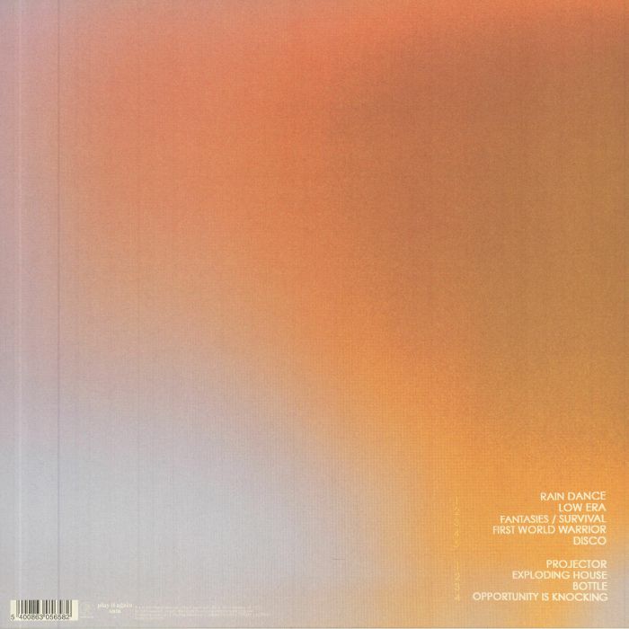 Projector - Geese