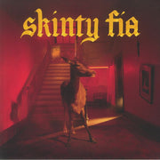 Skinty Fia - Fontaines DC