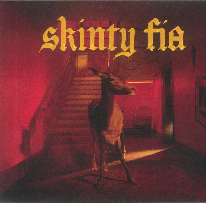 Skinty Fia - Fontaines DC (CD)