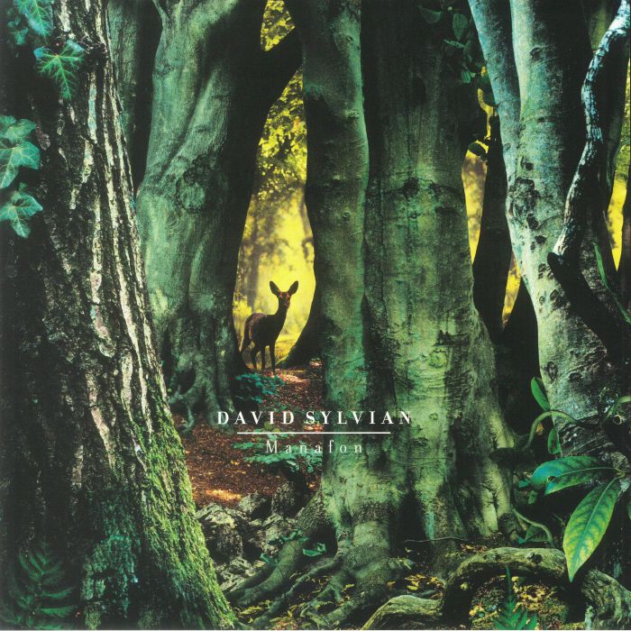 Manafon (Reissue) - David Sylvian