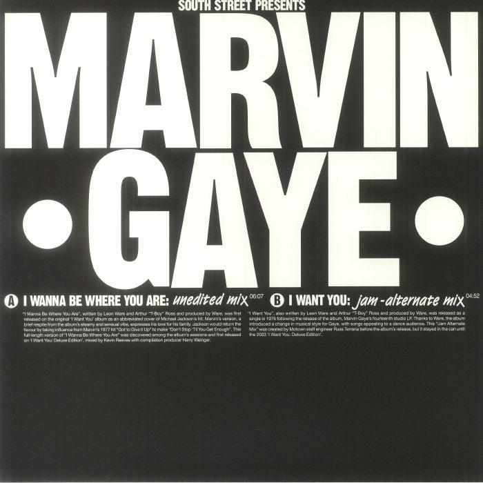 I Wanna Be Where You Are - Marvin Gaye