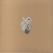 The Beggar - Swans