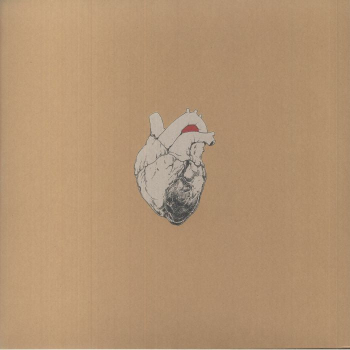 The Beggar - Swans