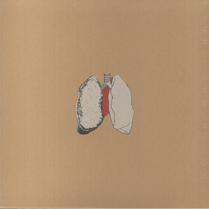 The Beggar - Swans