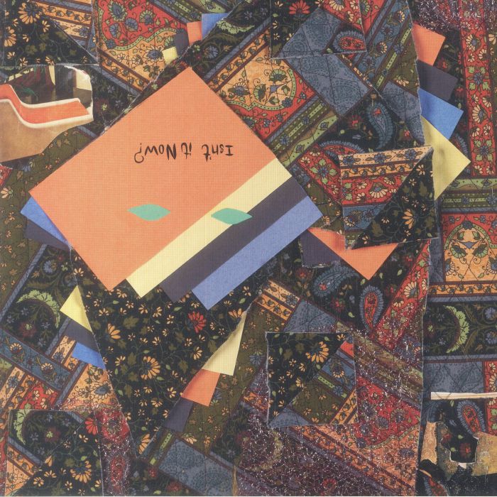 Isn't It Now? - Animal Collective