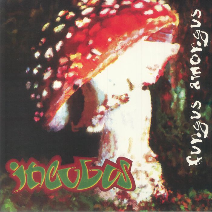 Fungus Amongus (Renkli Plak) - Incubus