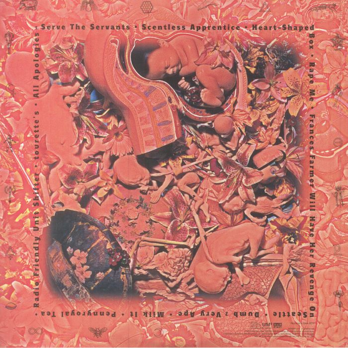 In Utero (30th Anniversary Edition) (Remastered) - Nirvana