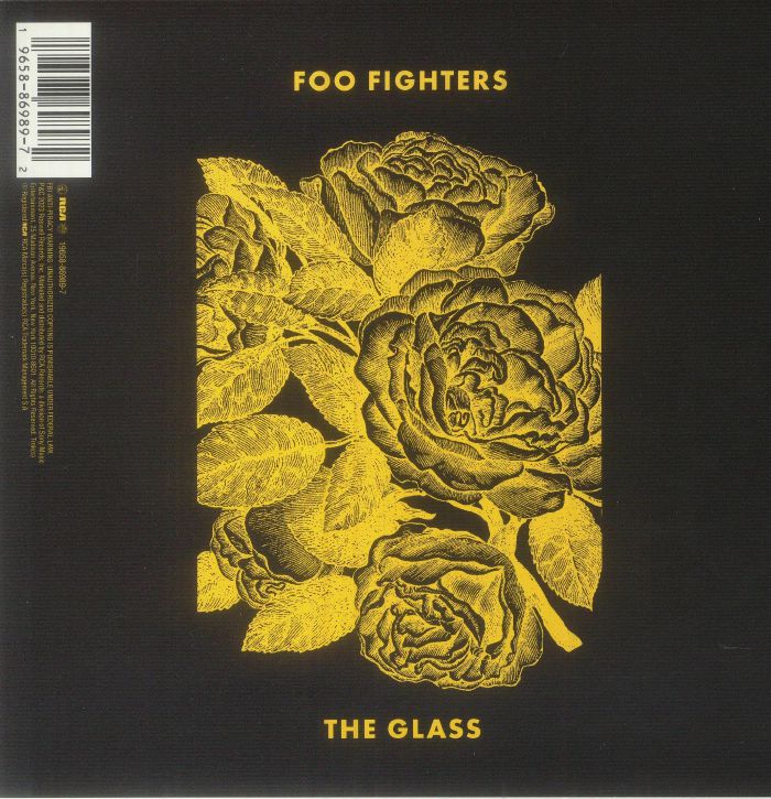 The Glass - Her / Foo Fighters