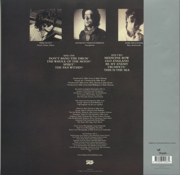 This Is the Sea (Reissue) (180 Gram Clear Vinyl) - The Waterboys