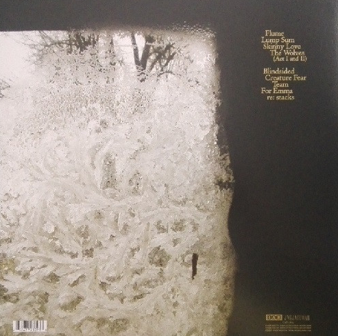 For Emma, Forever Ago- Bon Iver