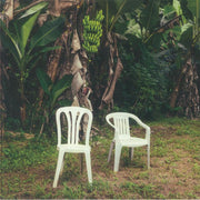 Debi Tirar Mas Fotos - Bad Bunny