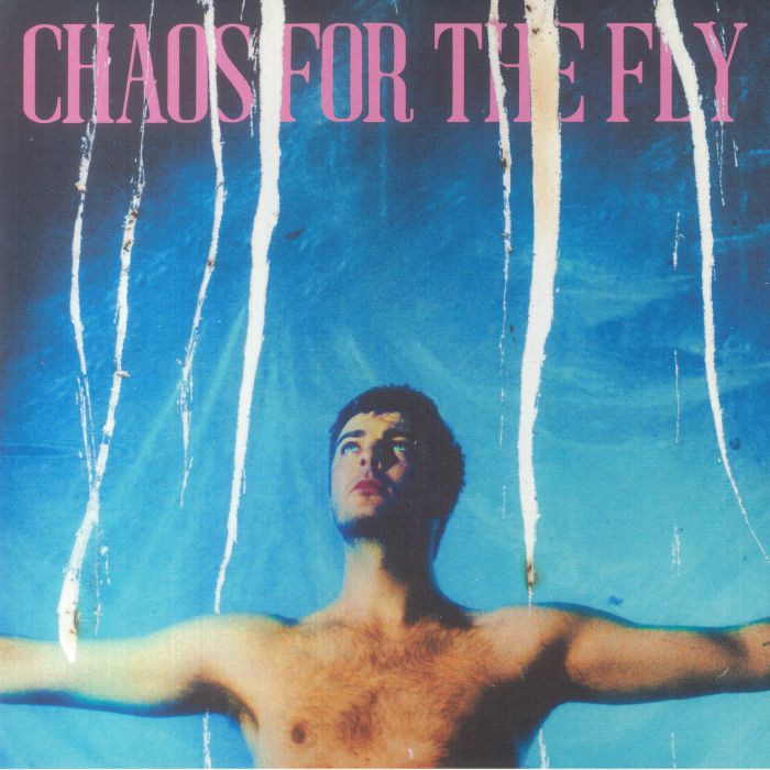 Chaos For The Fly - Grian Chatten