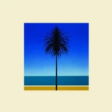 English Riviera- Metronomy