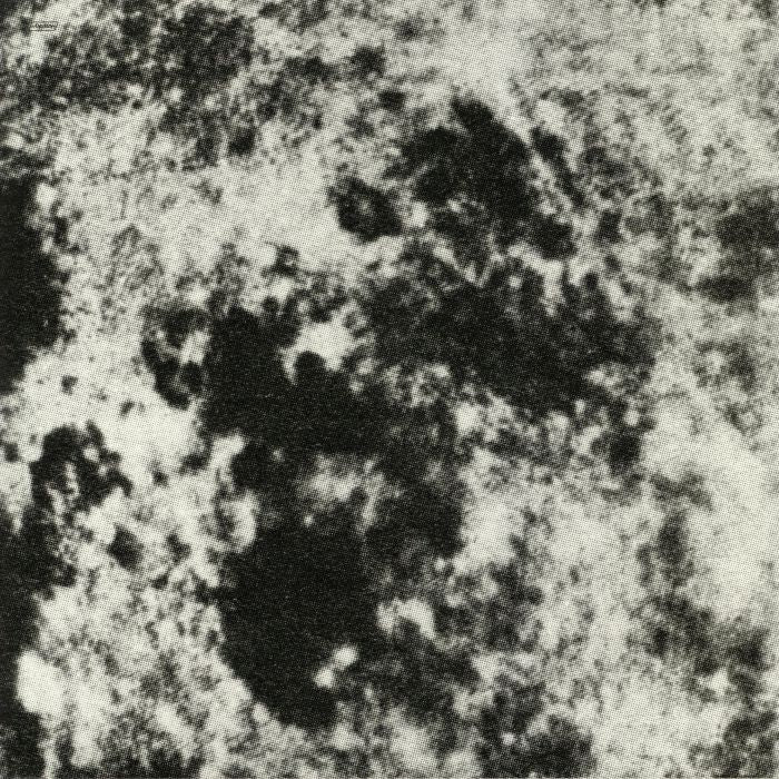 AIA: Dream Loss (reissue) - Grouper