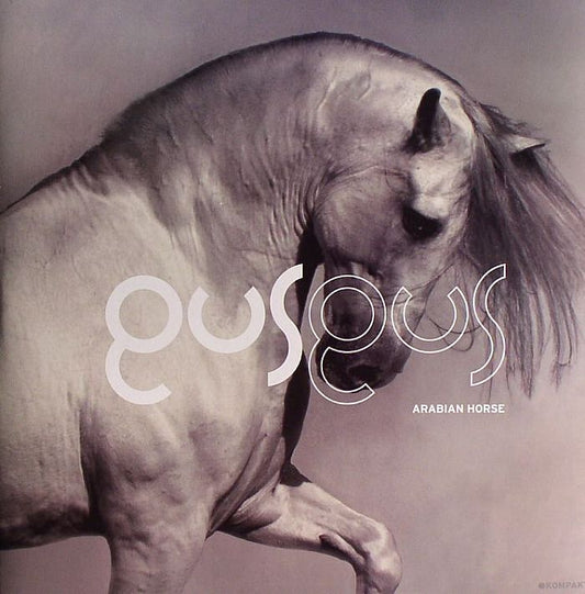 Arabian Horse - Gus Gus