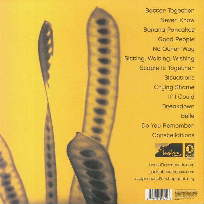 In Between Dreams (reissue) -Jack Johnson