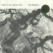 Diana In The Autumn Wind - Gap Mangione