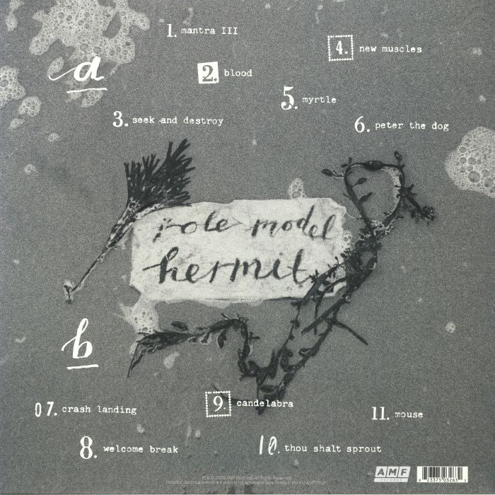 Role Model Hermit - Marry in The Junkyard