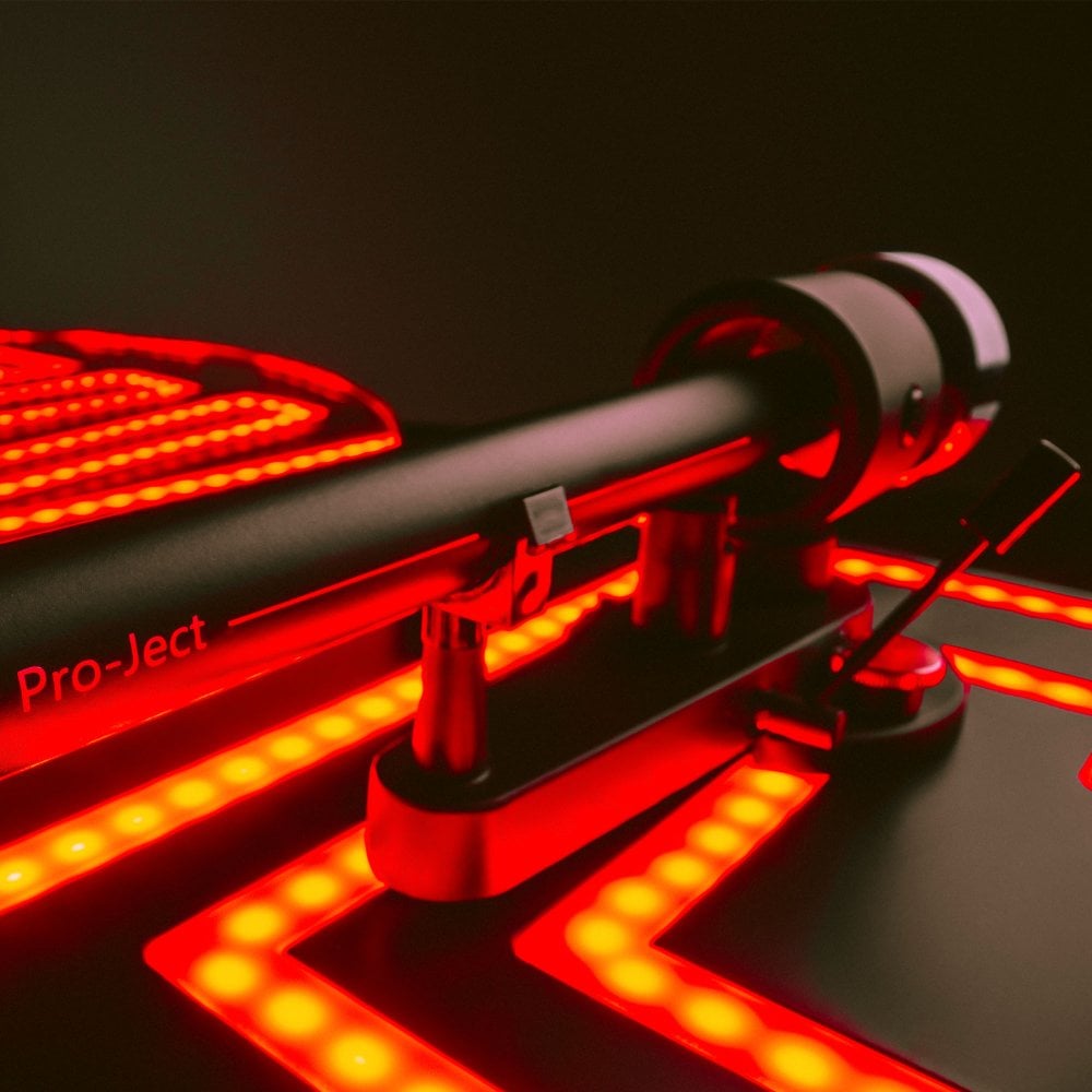 Elvis