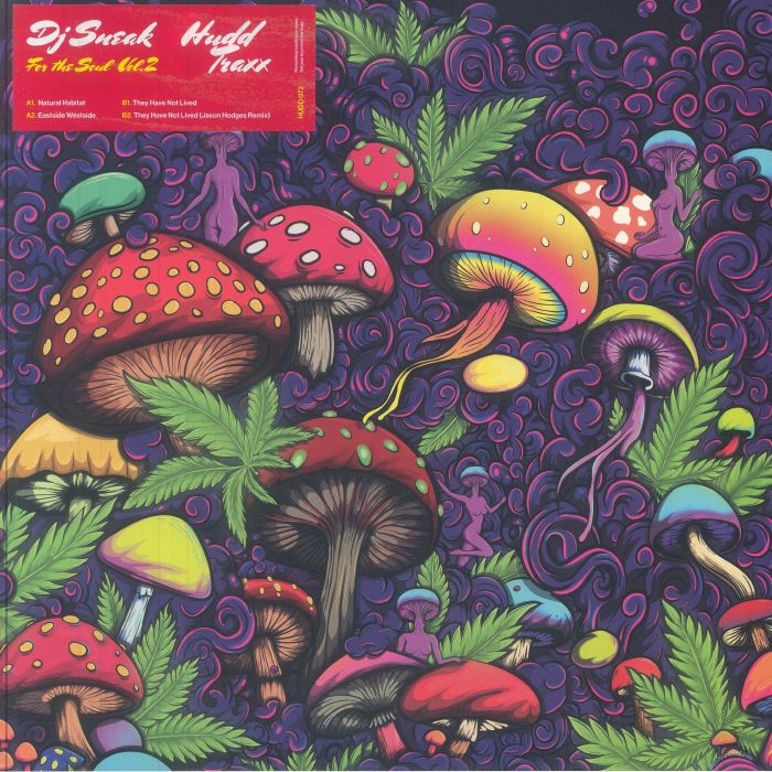 For The Soul Vol 2 - DJ Sneak