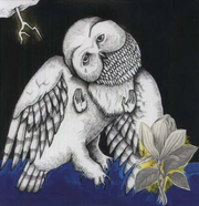 Magnolia Electric Co. - Songs: Ohia (Deluxe Edition)