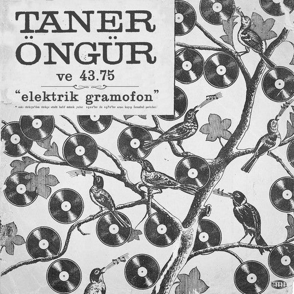 Elektrik Gramafon – Taner Öngür & 43.75 (2.El)