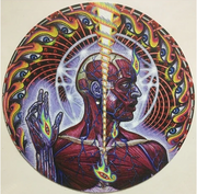 Tool Slipmat