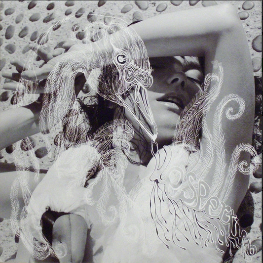 Vespertine- Björk